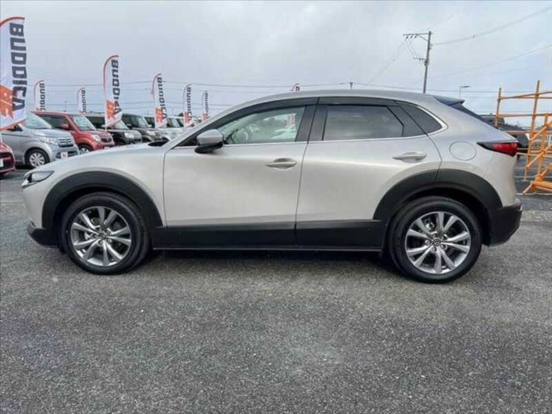 CX-30