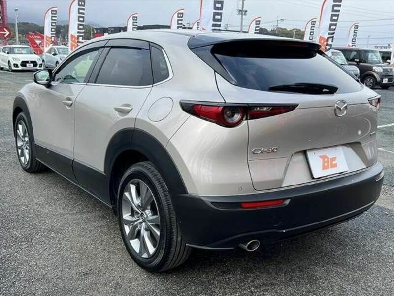 CX-30