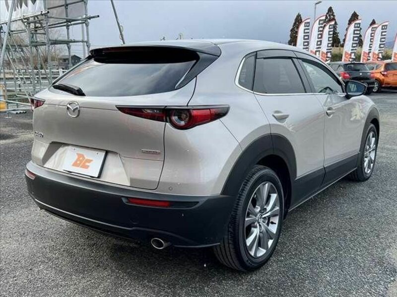 CX-30