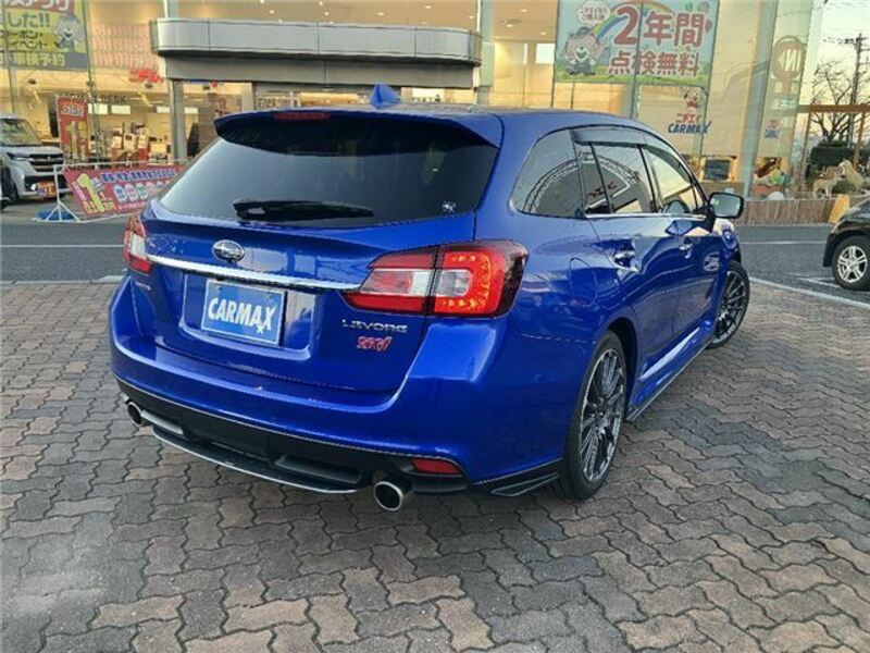 LEVORG