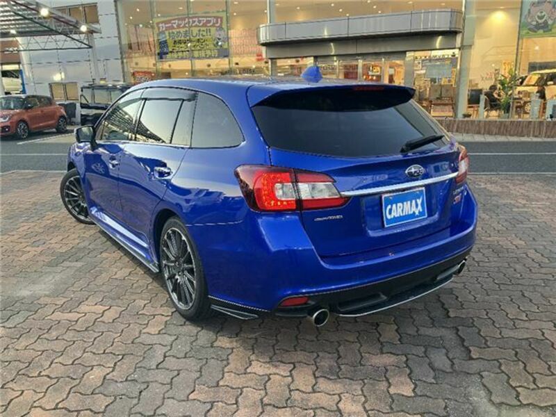 LEVORG