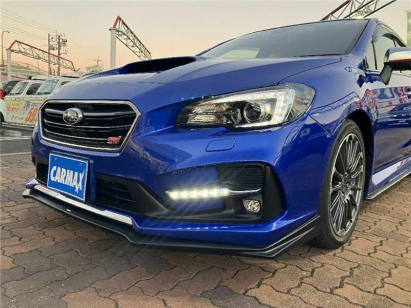 LEVORG