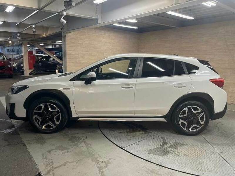 XV