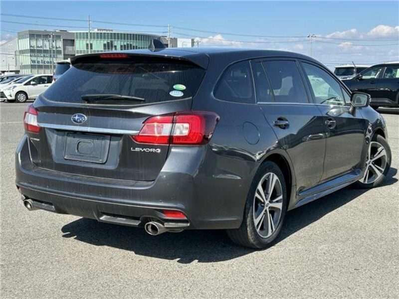 LEVORG