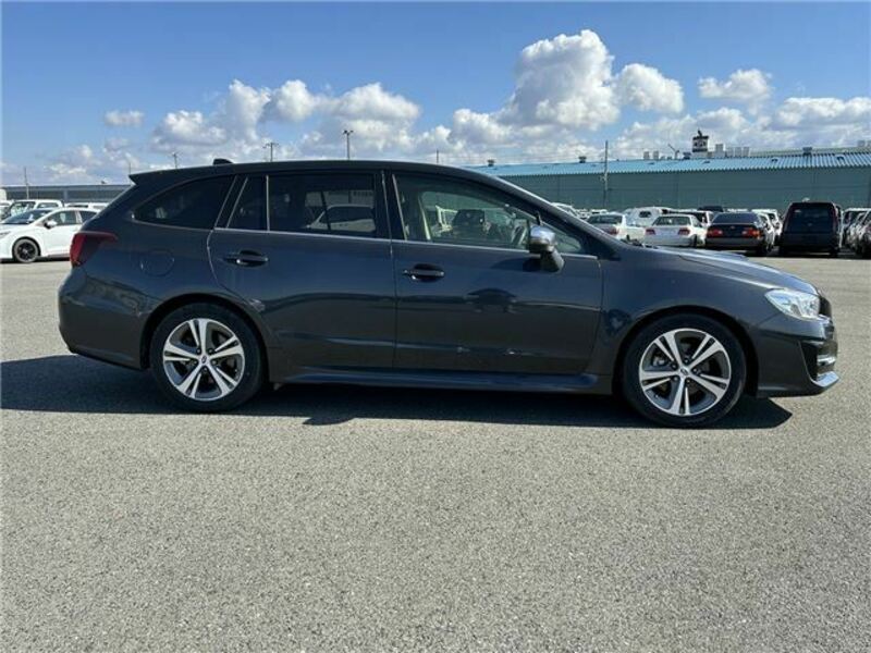 LEVORG