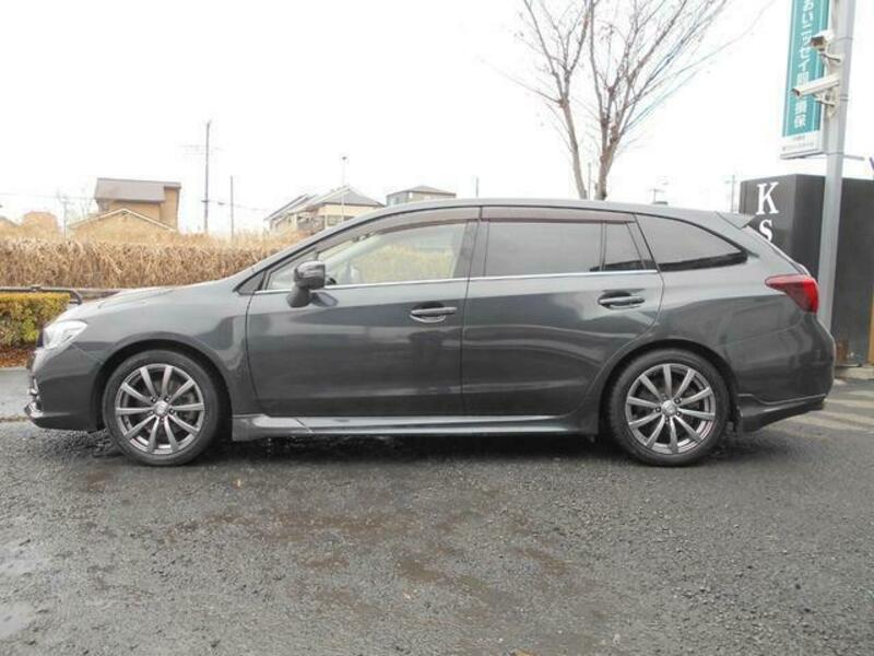 LEVORG