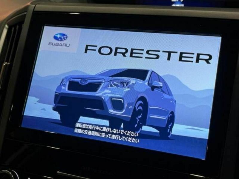 FORESTER