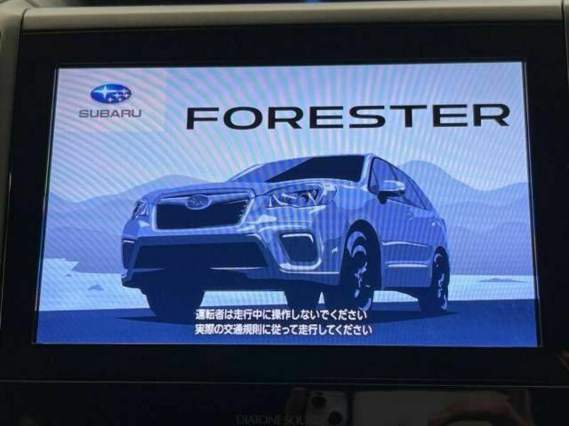 FORESTER