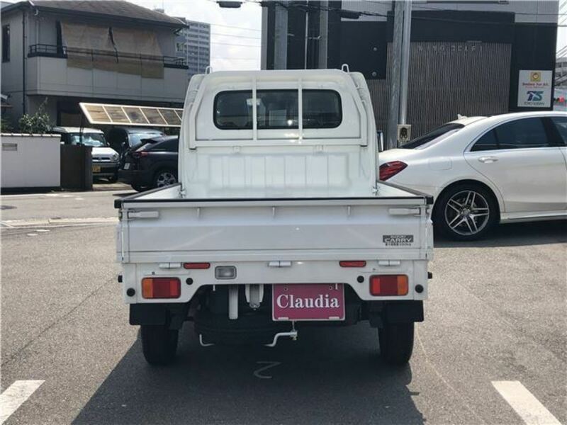 CARRY TRUCK