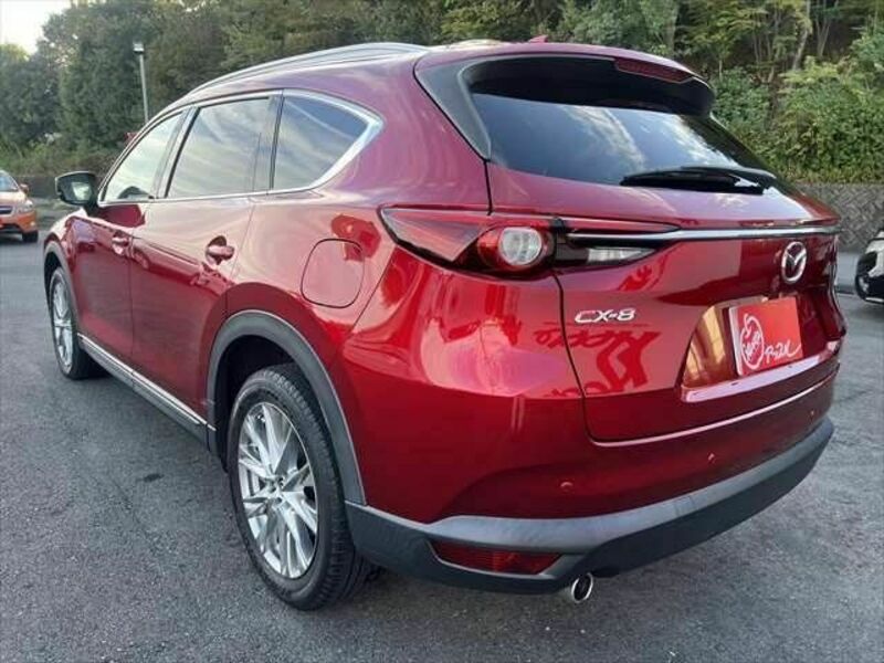 CX-8