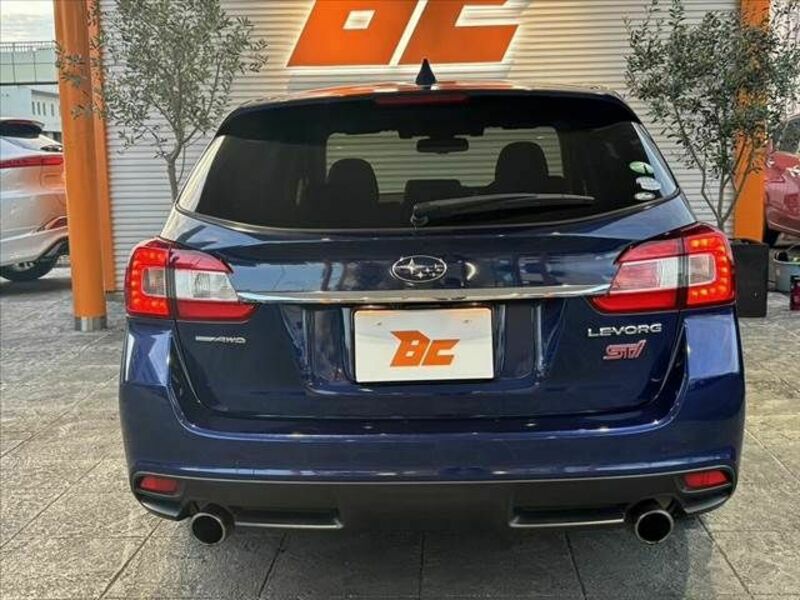 LEVORG