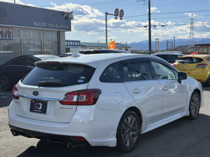 LEVORG