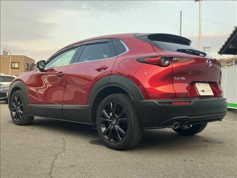 CX-30