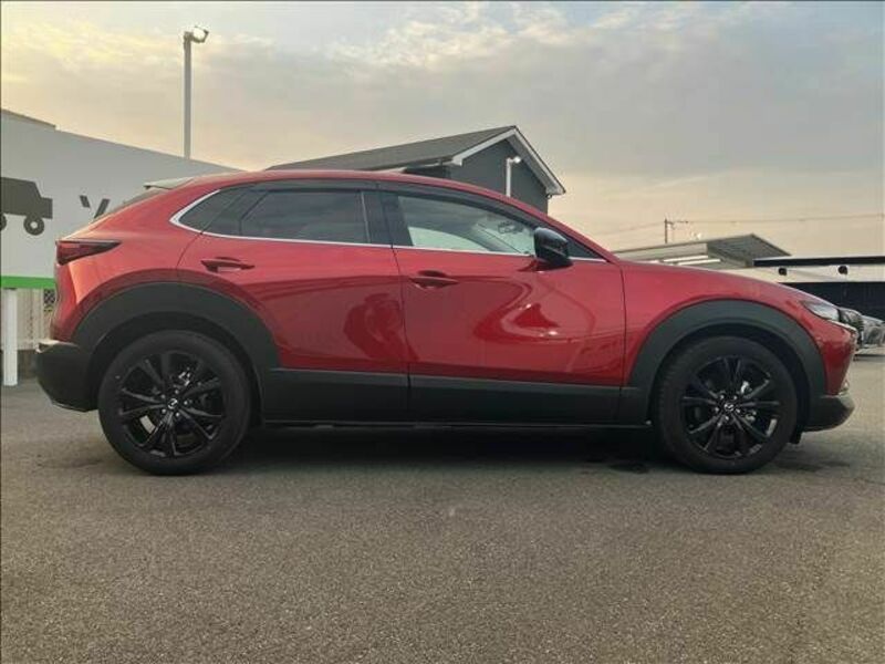 CX-30