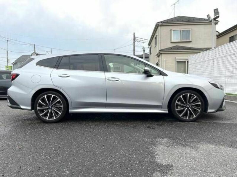 LEVORG