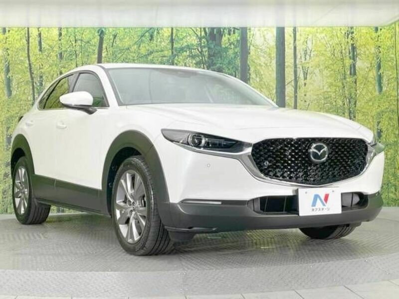 CX-30