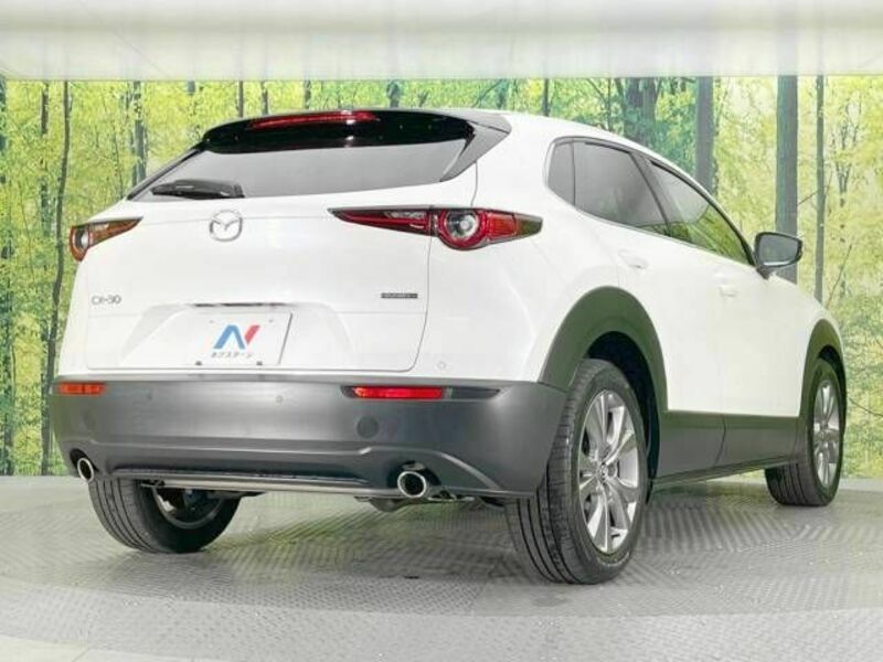 CX-30