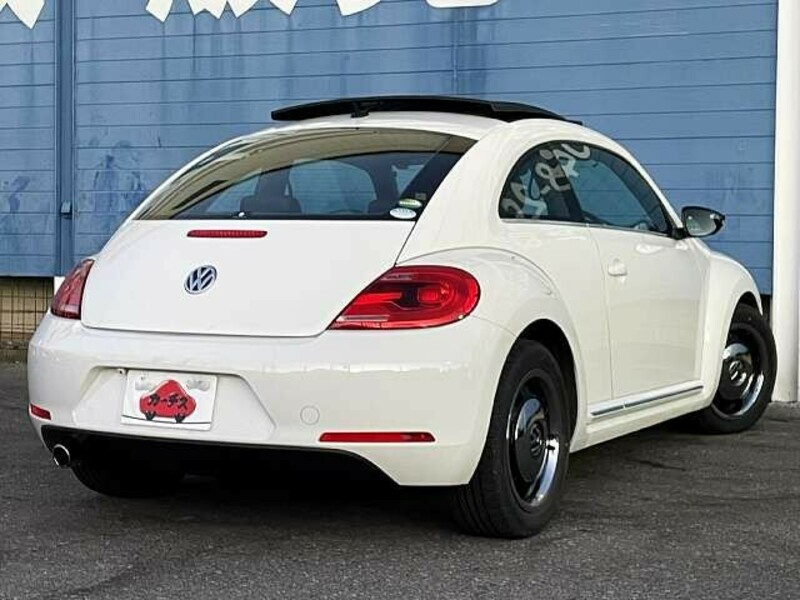 THE BEETLE