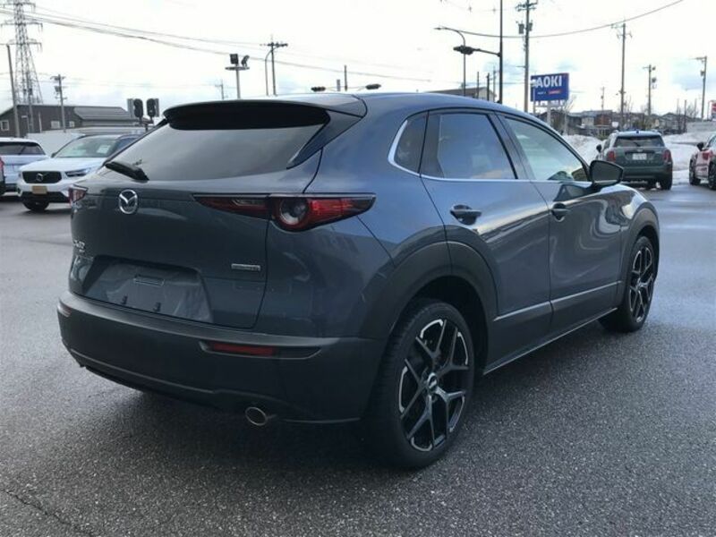 CX-30