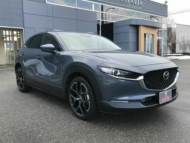 CX-30