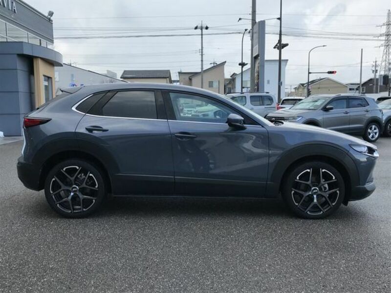 CX-30