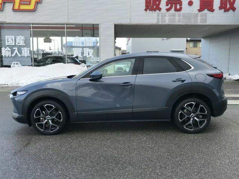 CX-30