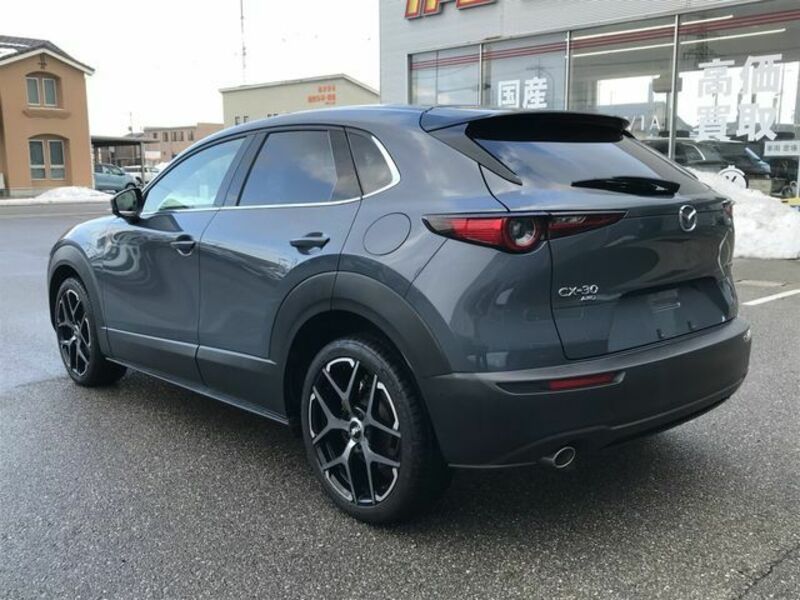 CX-30