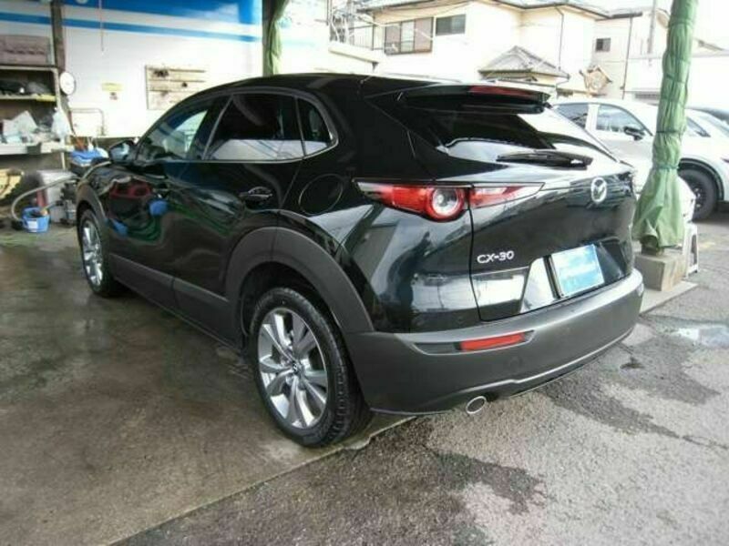 CX-30