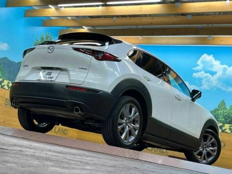 CX-30