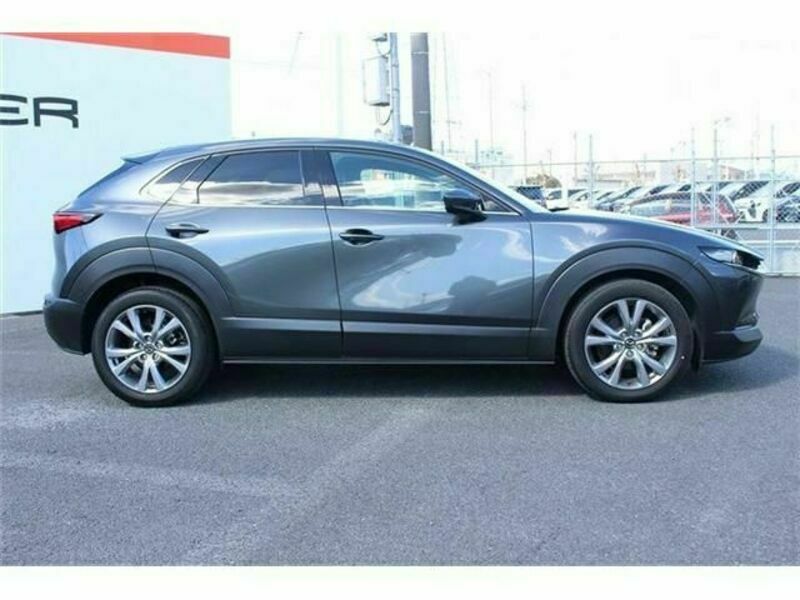 CX-30