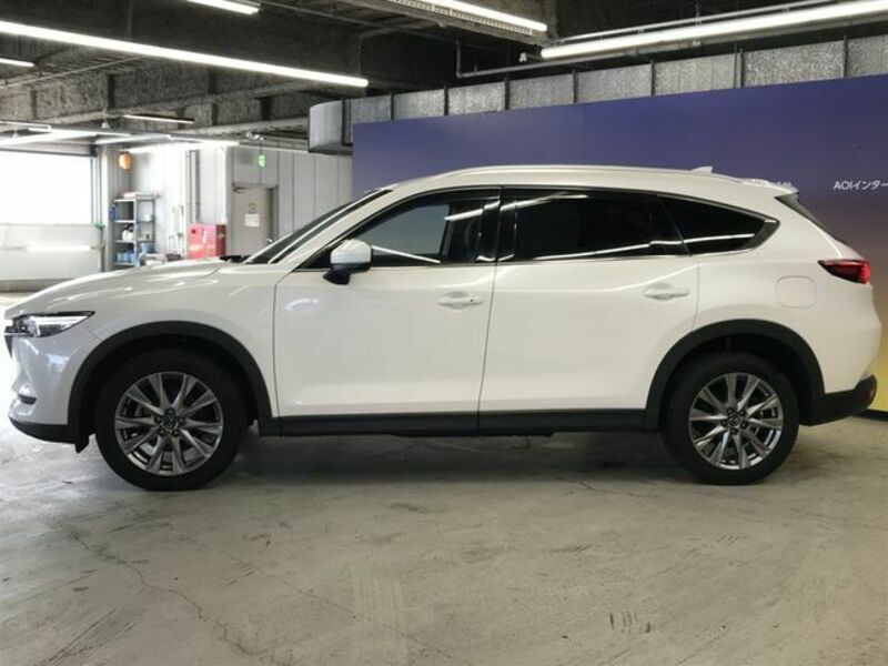 CX-8