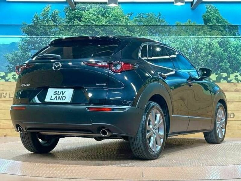 CX-30