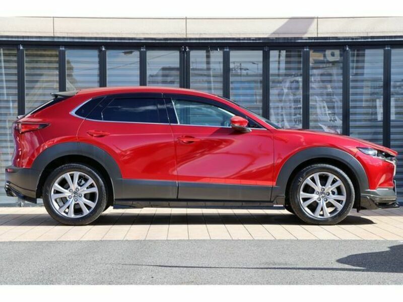 CX-30