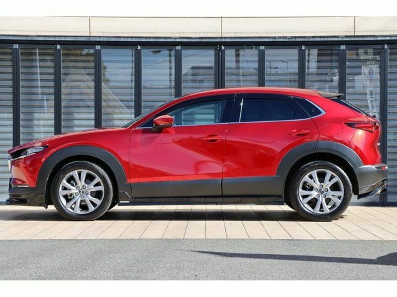 CX-30