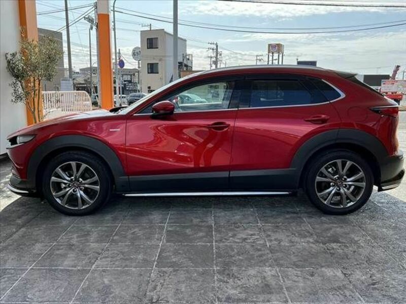 CX-30