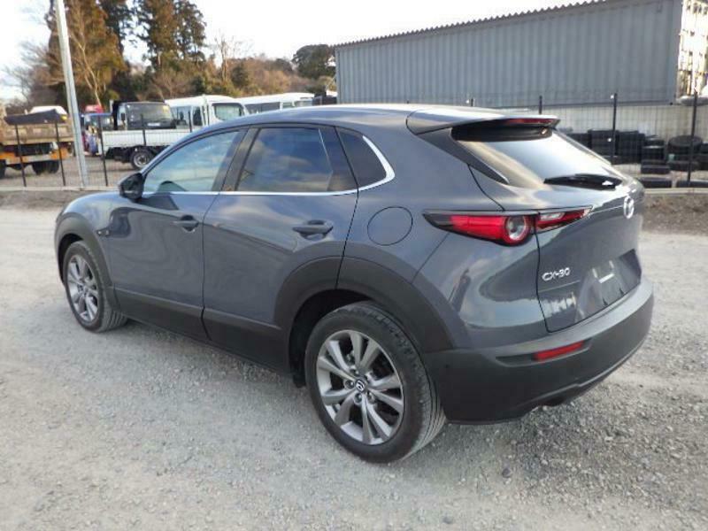 CX-30