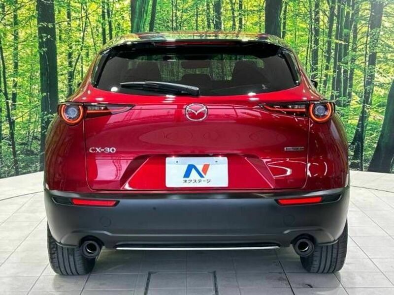 CX-30