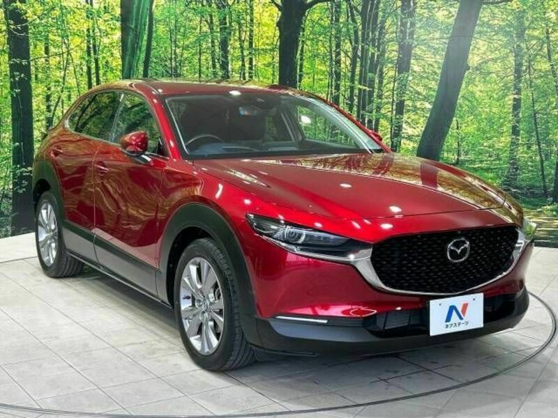 CX-30