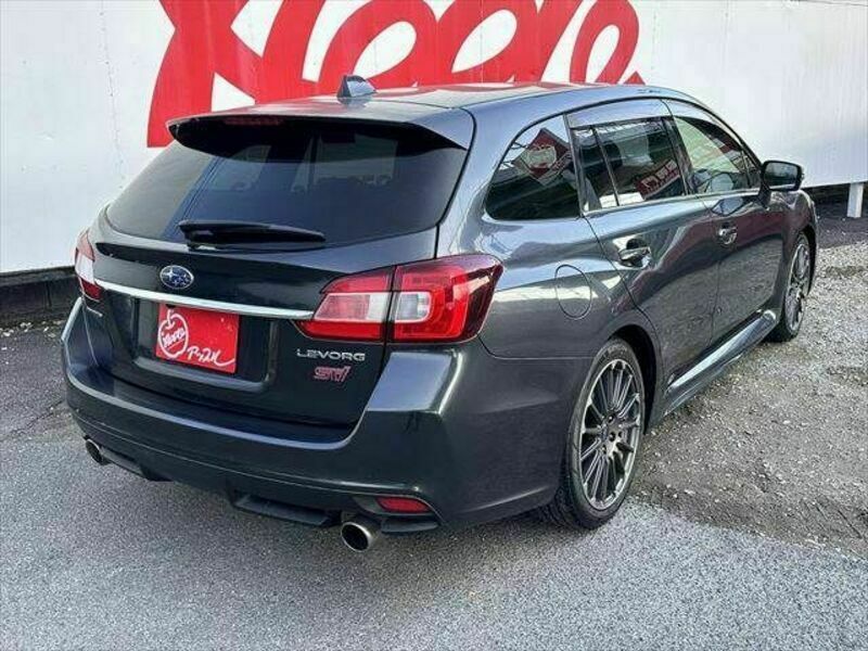 LEVORG