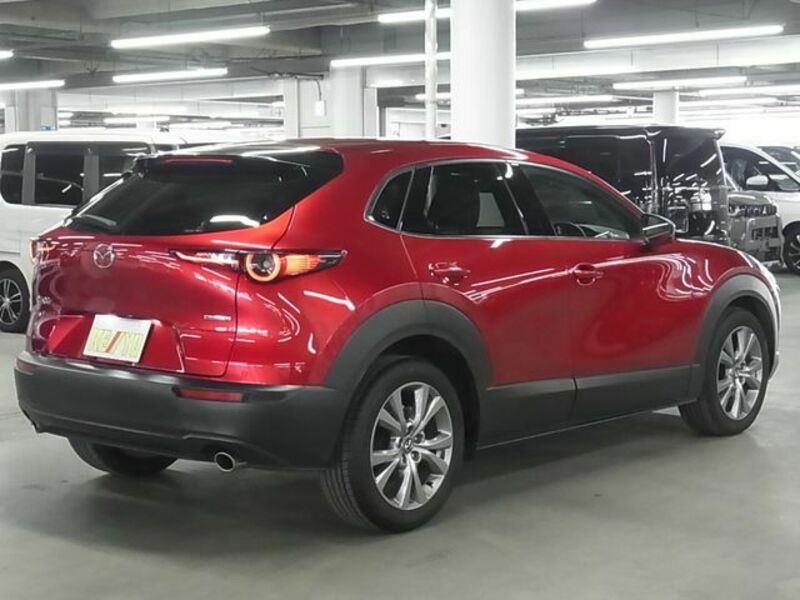 CX-30