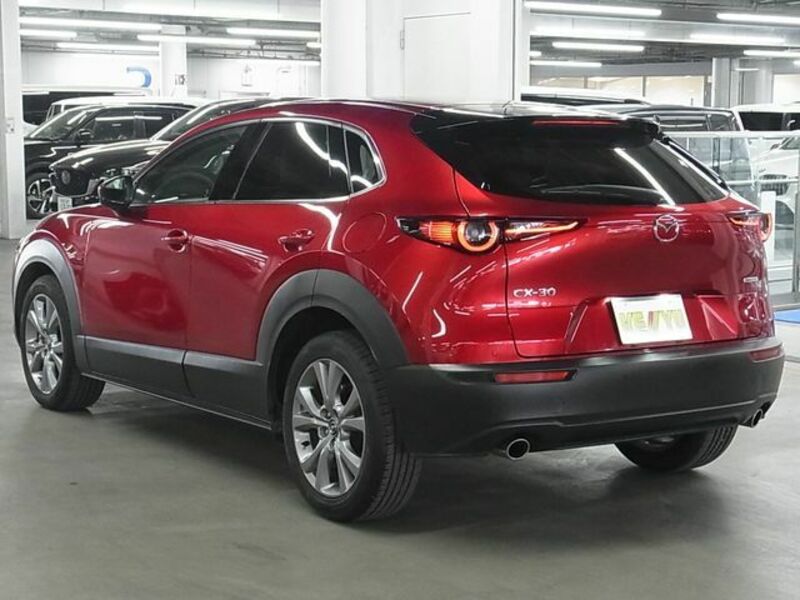 CX-30