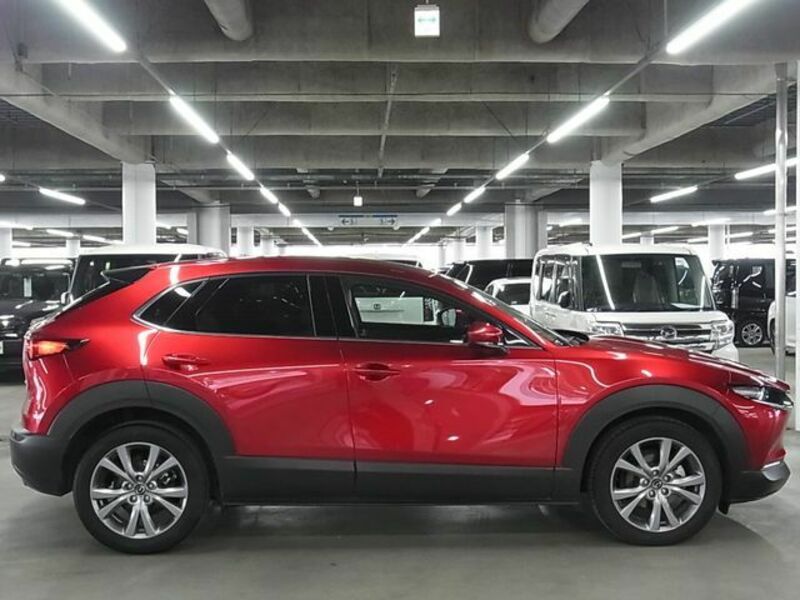 CX-30