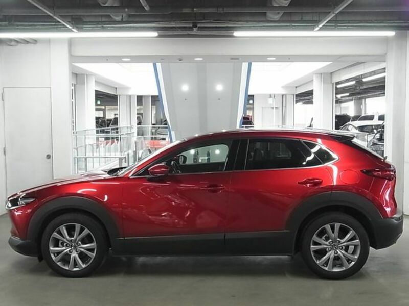 CX-30