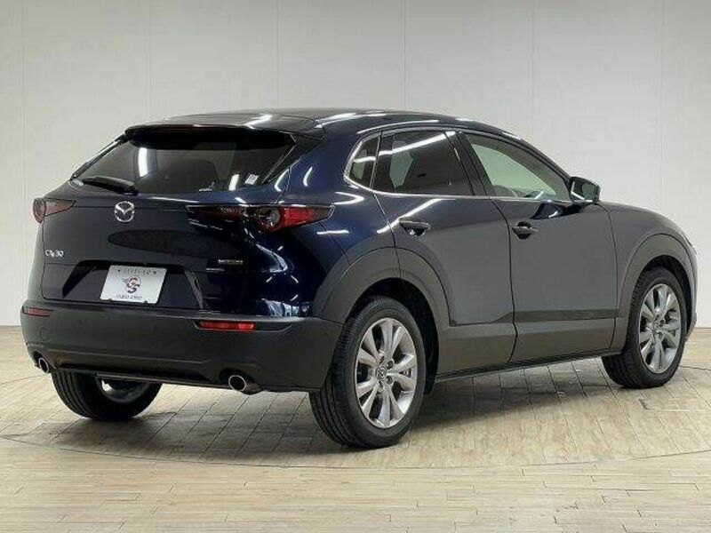 CX-30