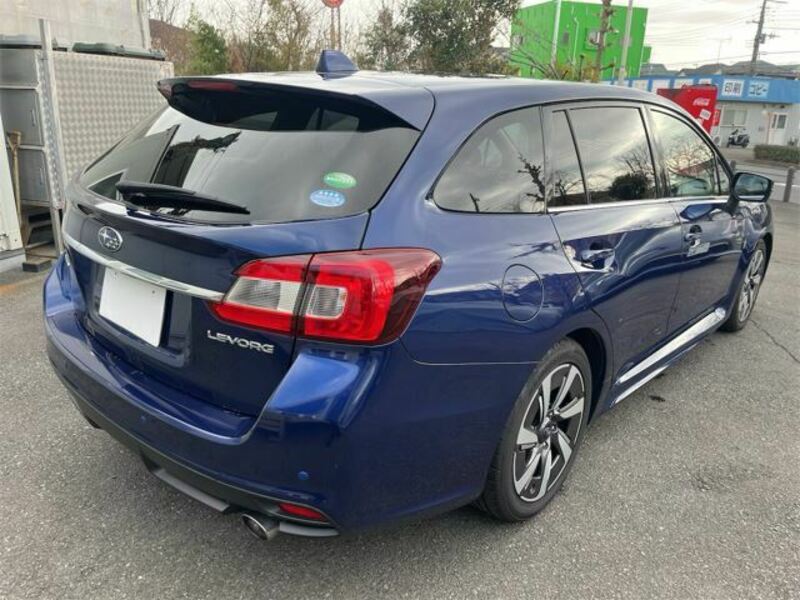 LEVORG