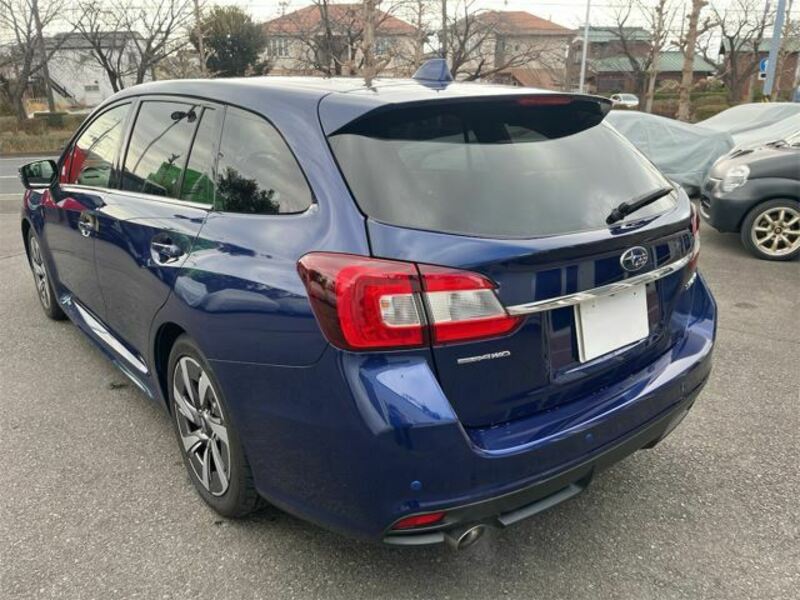 LEVORG