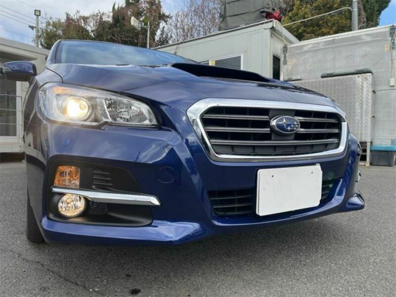 LEVORG