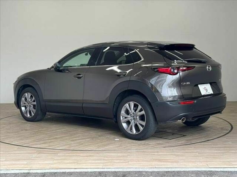 CX-30