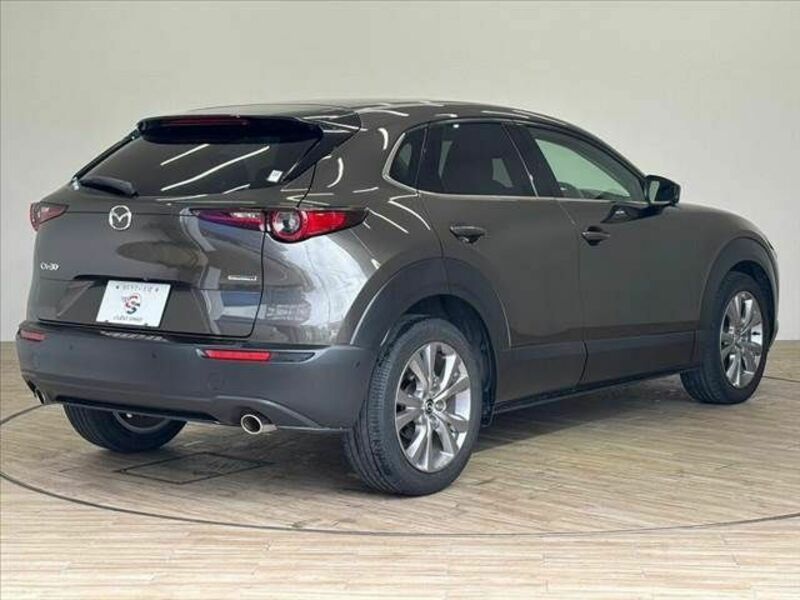 CX-30