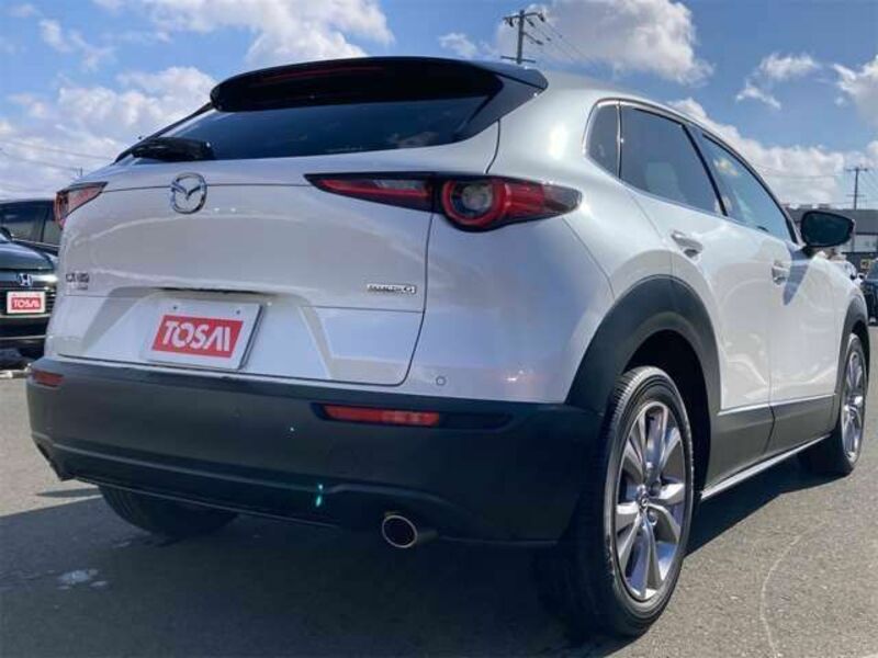 CX-30